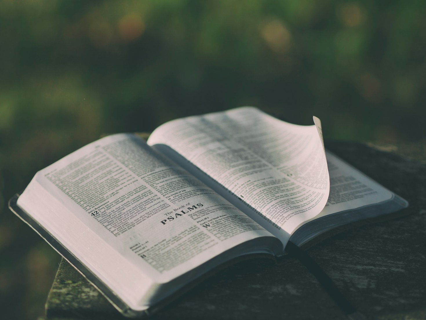 L’importanza della preghiera nella vita cristiana